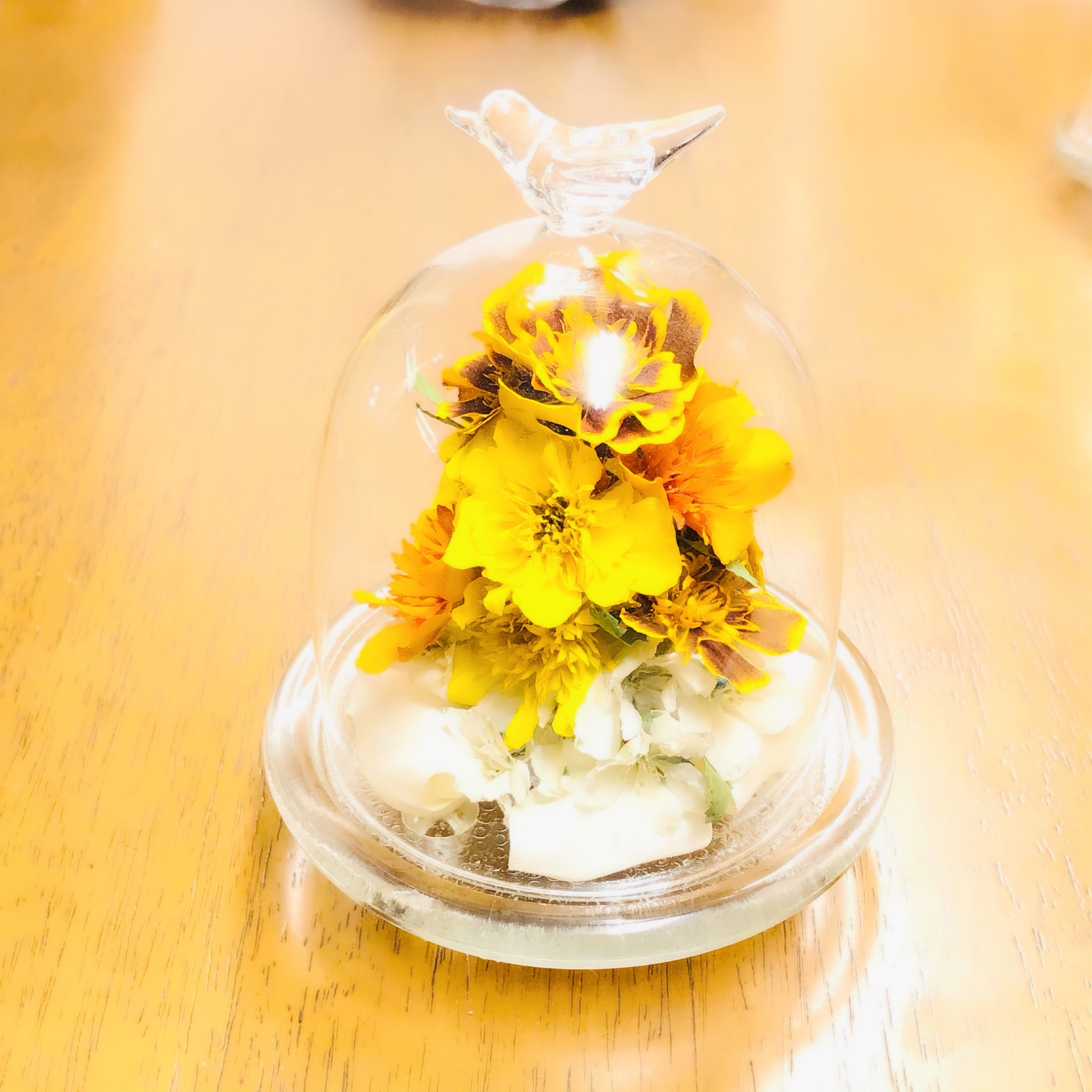 マリーゴールド ガラスドーム ドライフラワー cheeeech 通販 7109911