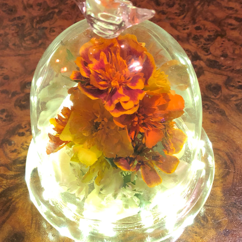 【美品】フランスアンティーク ドライフラワー ドーム ゴールドフレーム 3640 美品】フランスアンティーク ドライフラワー ドーム ゴールド