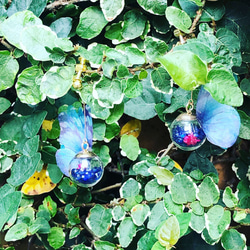 Yura Yura蝴蝶深藍色耳環/耳環 第1張的照片