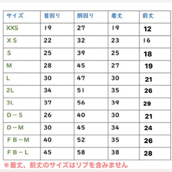  第3張的照片