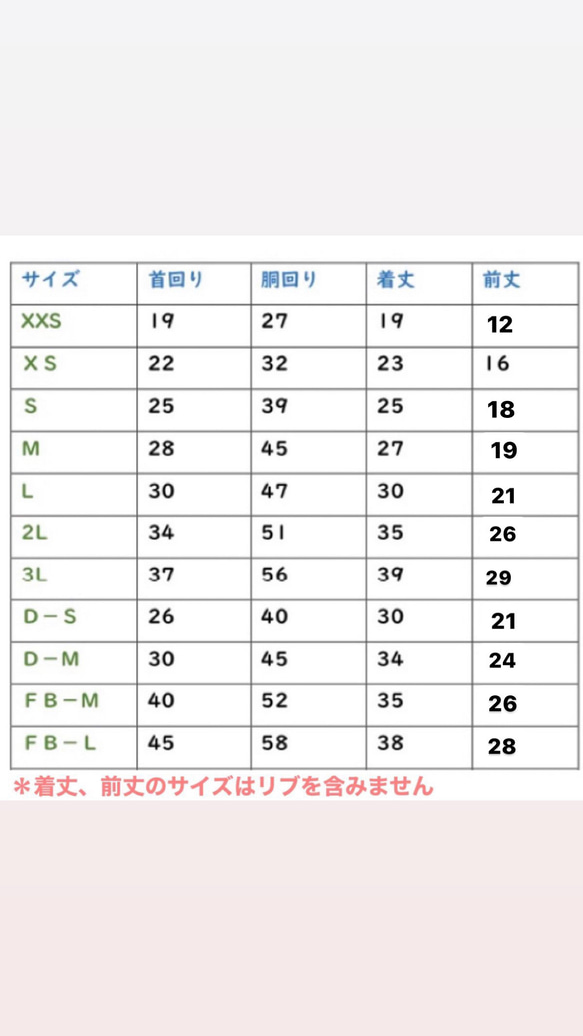  第3張的照片