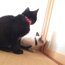 【送料無料】チロリアン柄　［紺色］シンプル猫ちゃん首輪 4枚目の画像