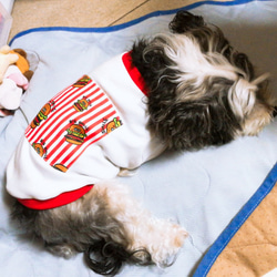 HONEY DOG バーガー＆ポテトのTシャツ 9枚目の画像