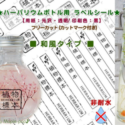 ハーバリウム ラベルシール【和風】透明・光沢（非耐水）（カット