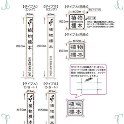 ハーバリウム　ラベルシール【和風】透明・光沢（非耐水）（カットマーク付き） 2枚目の画像