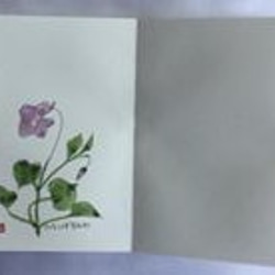 アコーデイオンノート彩色版【万葉の野の花】12ケ月 3枚目の画像