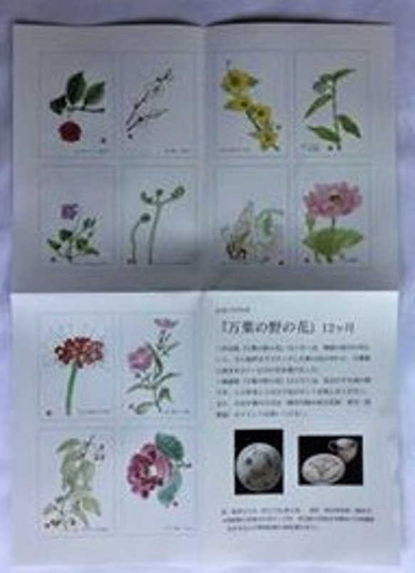 アコーデイオンノート彩色版【万葉の野の花】12ケ月 4枚目の画像