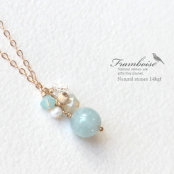 Framboise 14KGF Necklace Aquamarine/ネックレス・アクアマリン 1枚目の画像