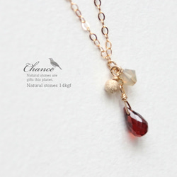 Chance14kgf Necklace Garnet/ネックレス・ガーネット 1枚目の画像