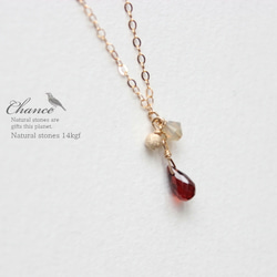 Chance14kgf Necklace Garnet/ネックレス・ガーネット 2枚目の画像