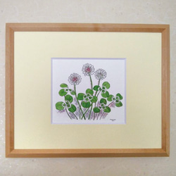 シロツメクサ～幸せの四つ葉のクローバー / 春の野の花シリーズ