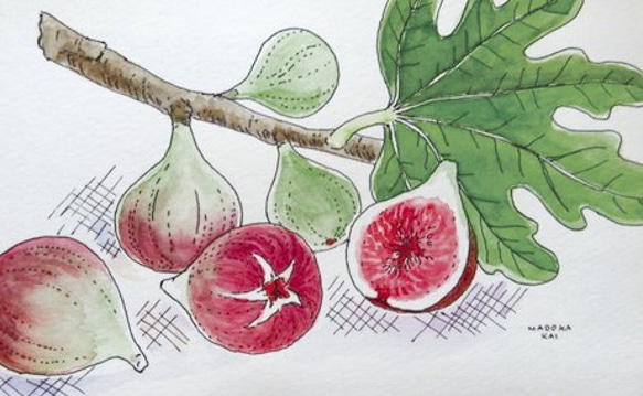 絵画 額縁付き 絹本 アケビとイチジク 絹本 絵画 角々しく アケビとイチジク 額縁付き