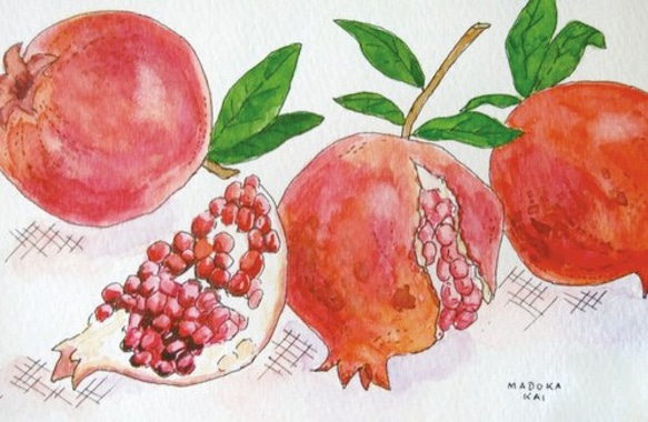 ざくろ / 果実シリーズ ＊額装付き手描き水彩画＊ 送料無料 絵画
