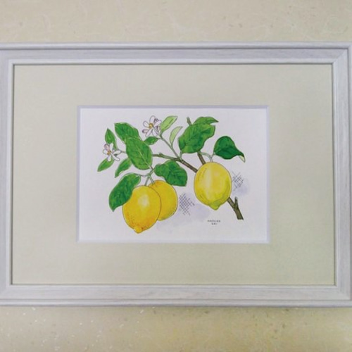 檸檬 レモン 果物 果実 静物画 水彩画 アート 絵画 美術 芸術 壁掛け飾り 檸檬 レモン 果物 果実 静物画 水彩画 アート 絵画 美術 芸術