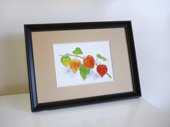 ほおずき～夏の想い出 / 果実シリーズ ＊額装付き手描き水彩画＊ 送料
