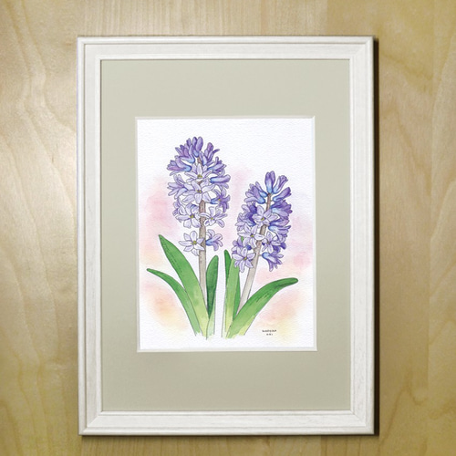 自作絵画 原画【ヒヤシンス】水彩画 色鉛筆画