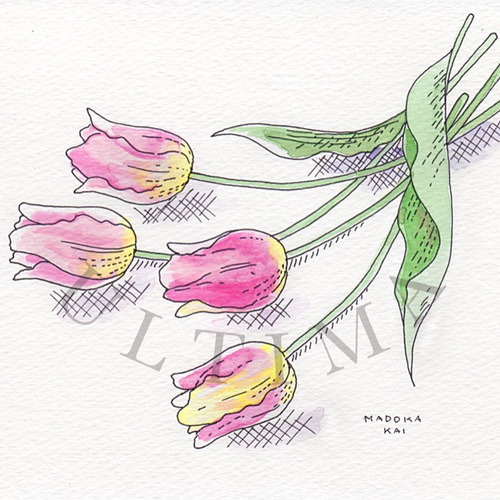 チューリップ D (黄×ピンク·横4本）＊額付きイラスト原画＊ 送料無料