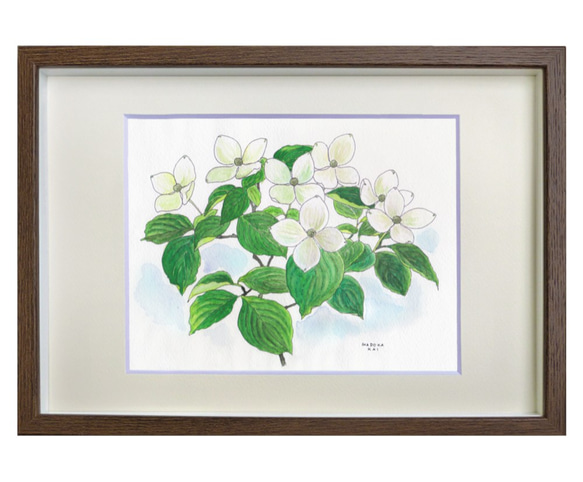 ☆受注制作 ヤマボウシ ＊額装付き手描き水彩画原画＊ 送料無料 絵画