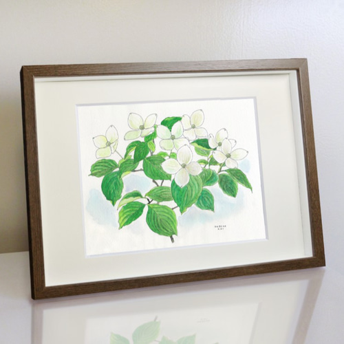 ☆受注制作 ヤマボウシ ＊額装付き手描き水彩画原画＊ 送料無料 絵画