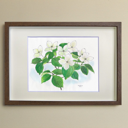 ☆受注制作 ヤマボウシ ＊額装付き手描き水彩画原画＊ 送料無料 絵画