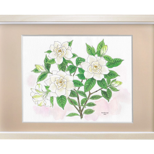 【絵画】ボタニカルアート「クチナシ」　原画 今週のボタニカルアート教室ではきさよさんのは大好きな高原の