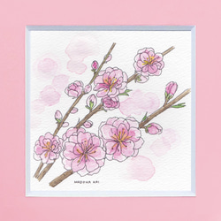 手描き梨の絵（額付き） 桃の花 ＊マット額付き手描き水彩画＊ ☆ 送料無料 絵画 うるち