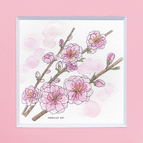 桃の花 ＊マット額付き手描き水彩画＊ ☆ 送料無料 絵画 うるち