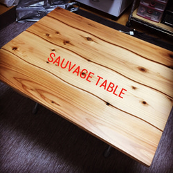 ガラスタイルを埋め込んだ針葉樹合板の折りたたみテーブル ロー