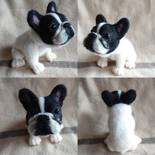 羊毛フェルト フレンチブルドッグ パイド