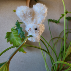 編みぐるみアニマルピンチ小3 3枚目の画像