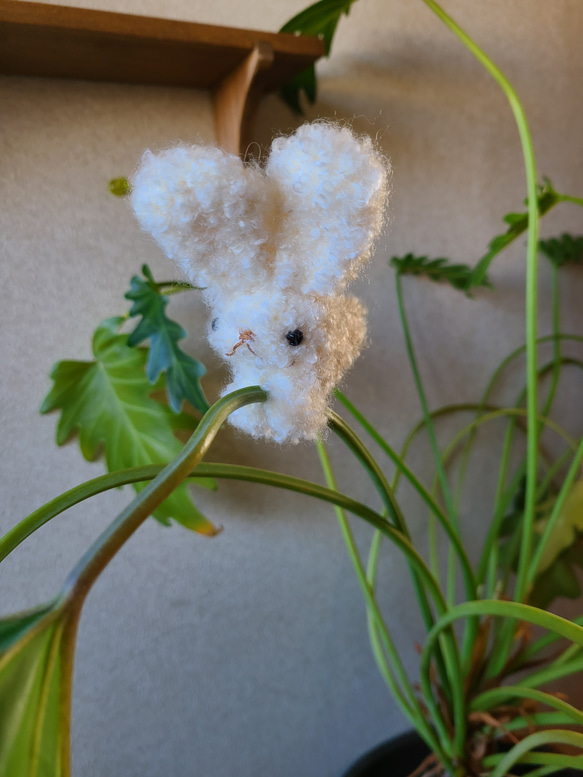 編みぐるみアニマルピンチ小3 3枚目の画像