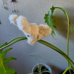 編みぐるみアニマルピンチ小3 4枚目の画像