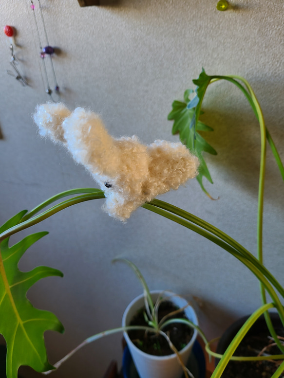 編みぐるみアニマルピンチ小3 4枚目の画像