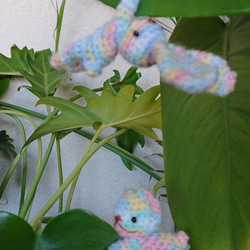 ちびウサとちびクマの編みぐるみピンチセット5 4枚目の画像