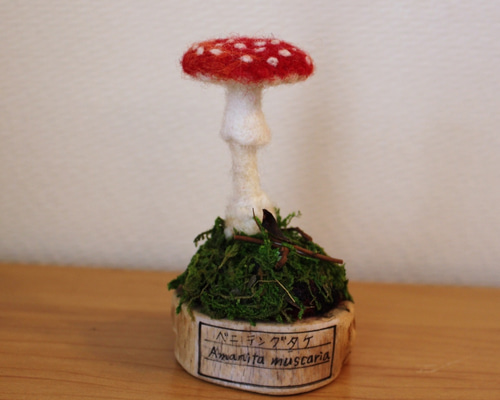 0_8564fead01144296197e613a15fd