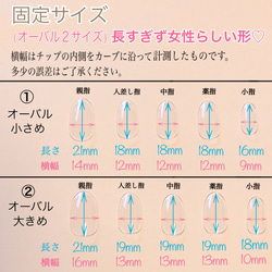 チップ 3枚目の画像