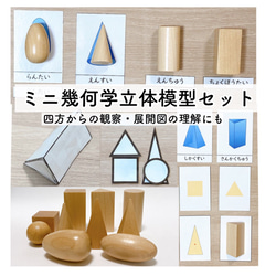 ミニ幾何学立体模型セット 小学校受験 モンテッソーリ 四方から