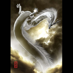 上品な額縁     白い柄布(雲龍) 白龍∞舞】（A3サイズ）※額縁付き （写真とは異なります