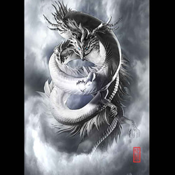 龍の絵「雲龍８・白龍」自作A4　竜の絵 1枚目の画像