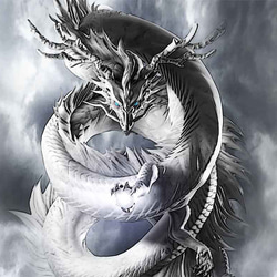 龍の絵「雲龍８・白龍」自作A4　竜の絵 2枚目の画像