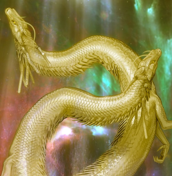 龍の絵「双龍」Ａ４ 2枚目の画像