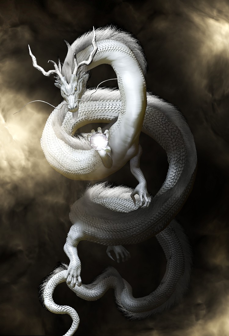 飛龍の絵 龍の絵「白龍」A4 イラスト breeze 通販 7020868｜Creema