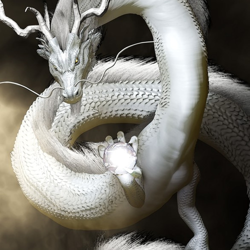 白龍