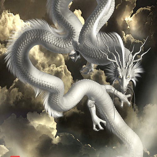 40.アートドル☆cocoperi1984☆白龍 40.アートドル☆cocoperi1984☆白龍 40.アートドル☆cocoperi1984☆白