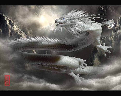 油絵（龍眼） 油絵（龍眼）