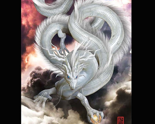 k569 額装刺繍絵「雲龍」表情豊かなドラゴン 光と影を表すような逸品 螭吻 竜 Amazon | Weiniuniu刺繍クロスステッチキット動物の虎、龍、龍