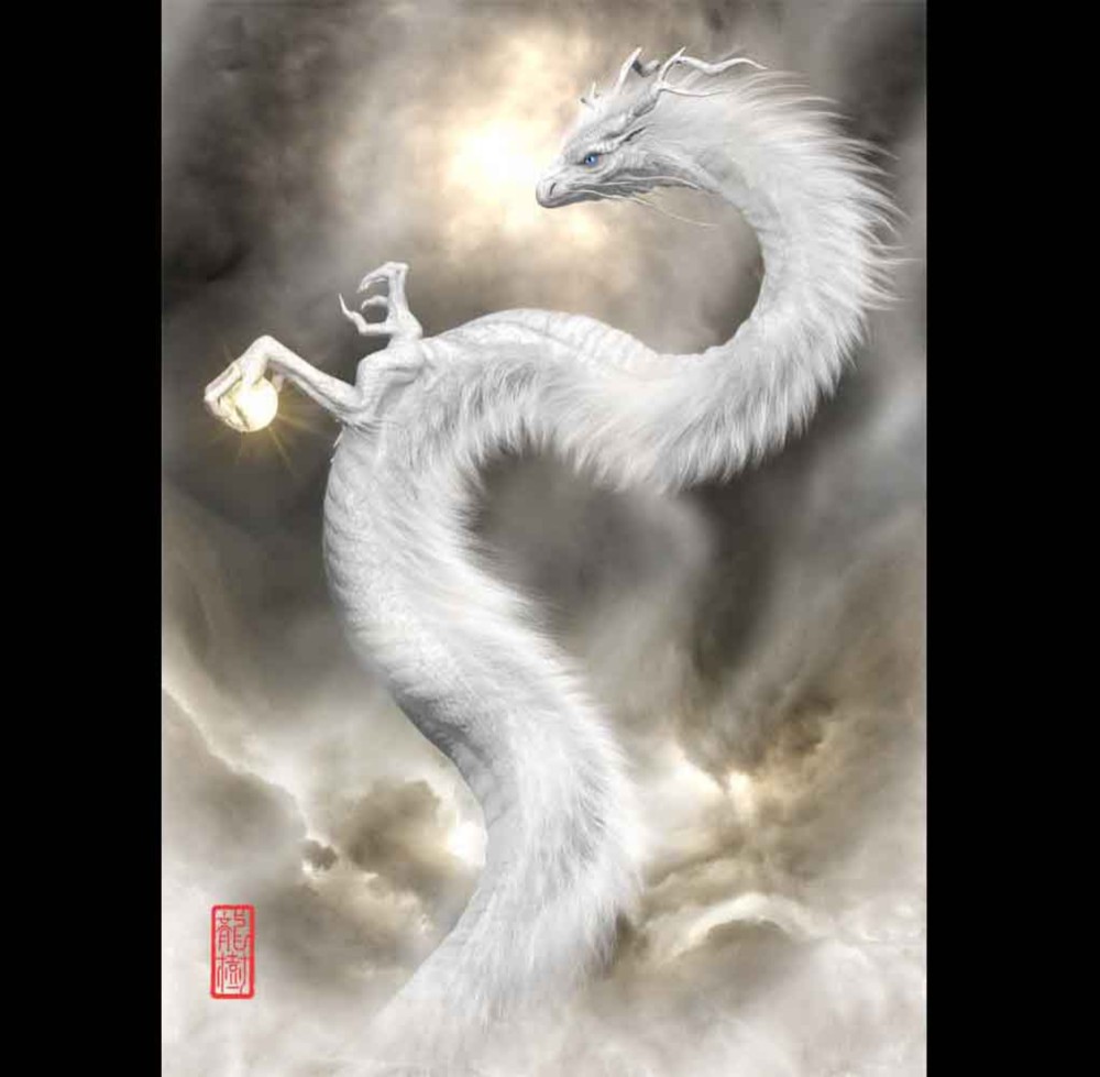 上品な額縁     白い柄布(雲龍) 和柄生地通販 雲龍・小柄の金襴生地販売なら都香庵