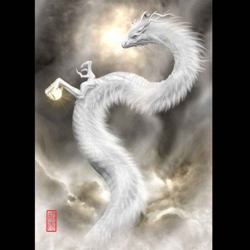 龍の絵「雲龍6,白龍」A4 竜の絵 イラスト breeze 通販 9226687