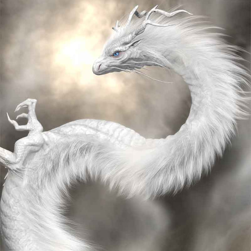 龍の絵「雲龍6,白龍」A4 竜の絵 イラスト breeze 通販 9226687