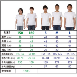 150〜LのSHIMA#1 5枚目の画像